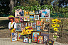 На саратовском фестивале подсолнухов раздавали угощения и сувениры